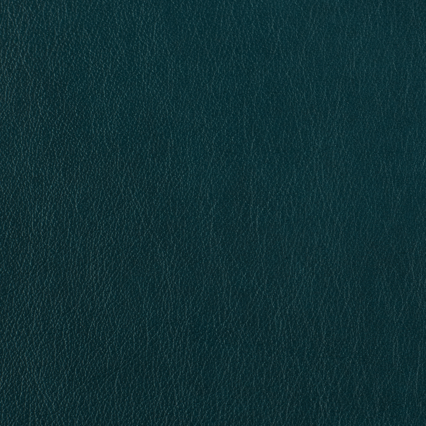 FL_Austen Deep Ocean