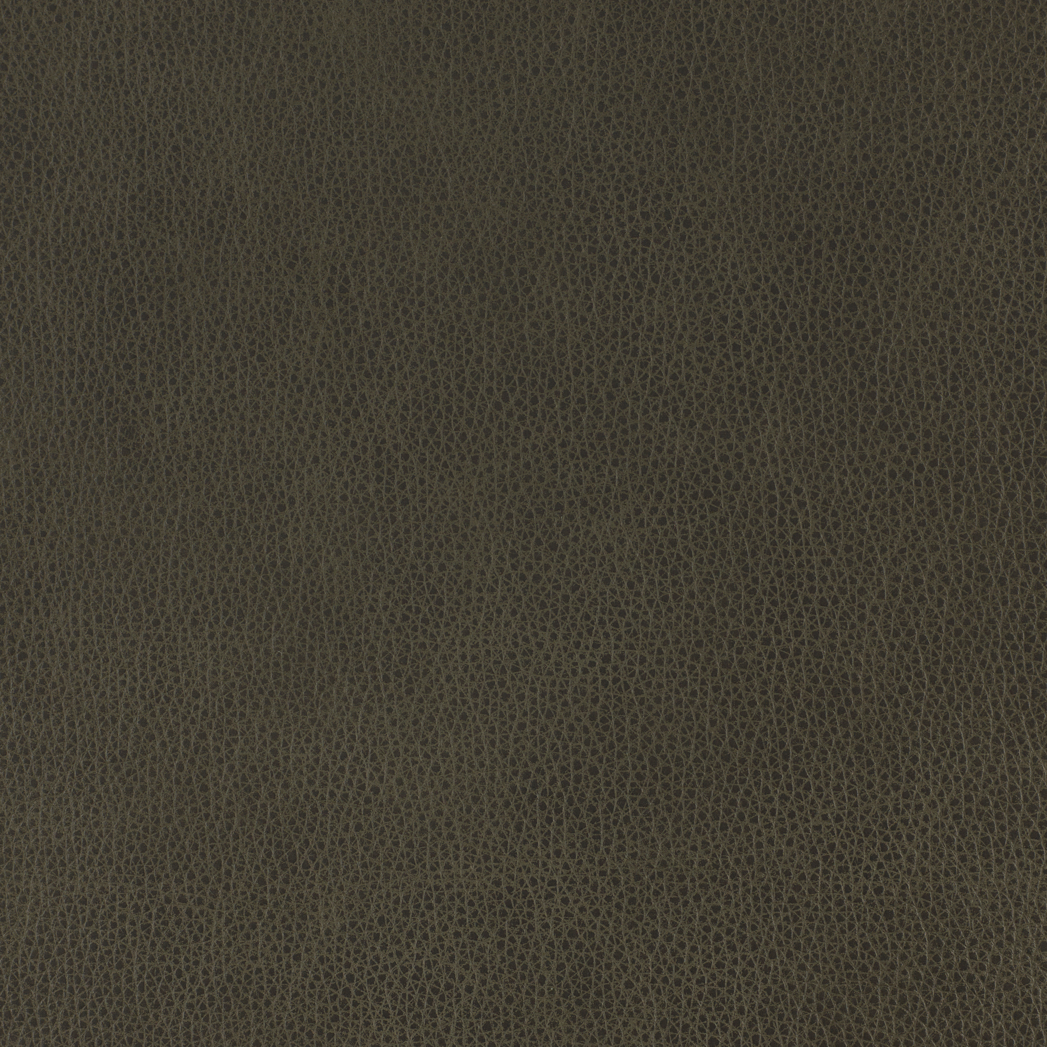 Altara Charcoal FL