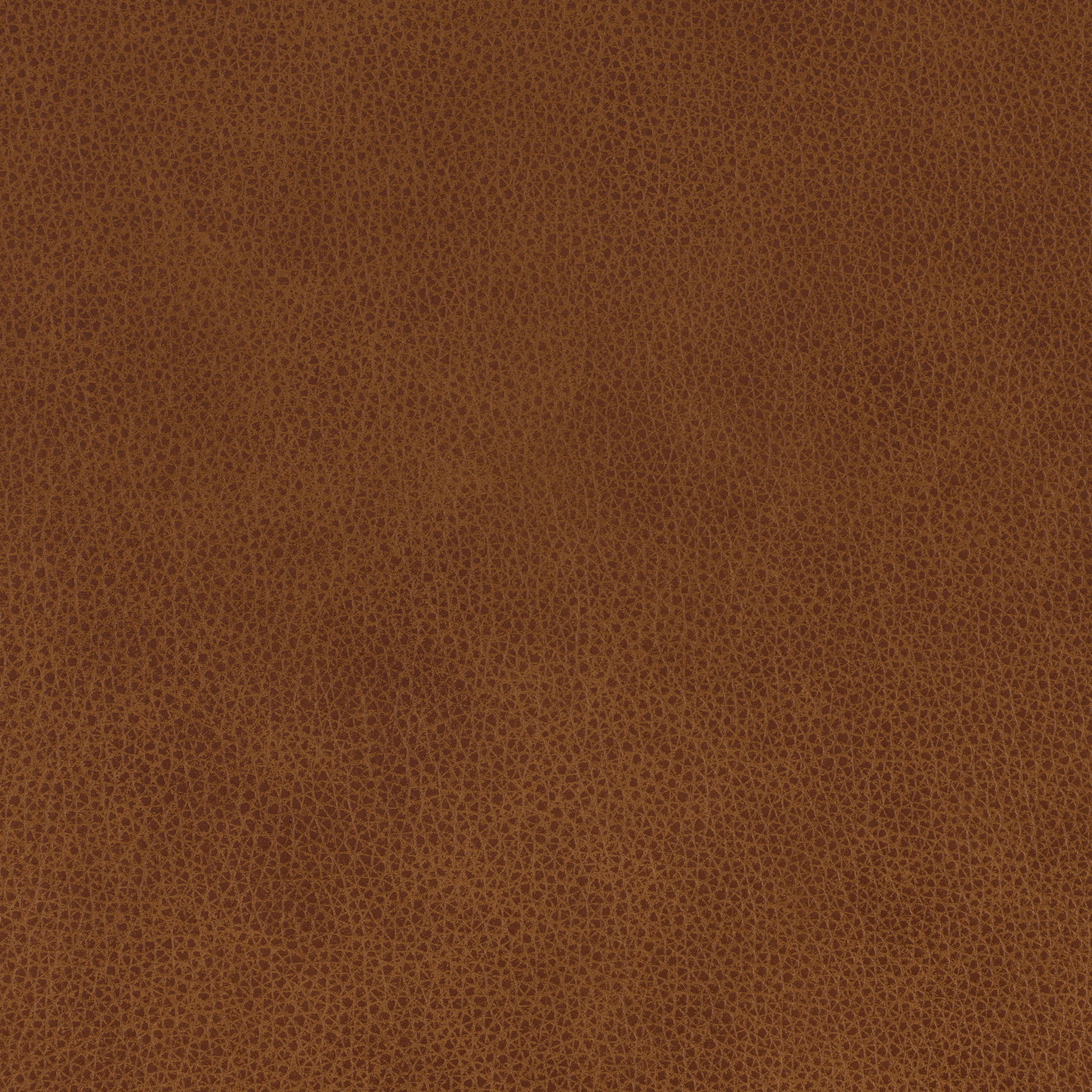 Altara Saddle Fl