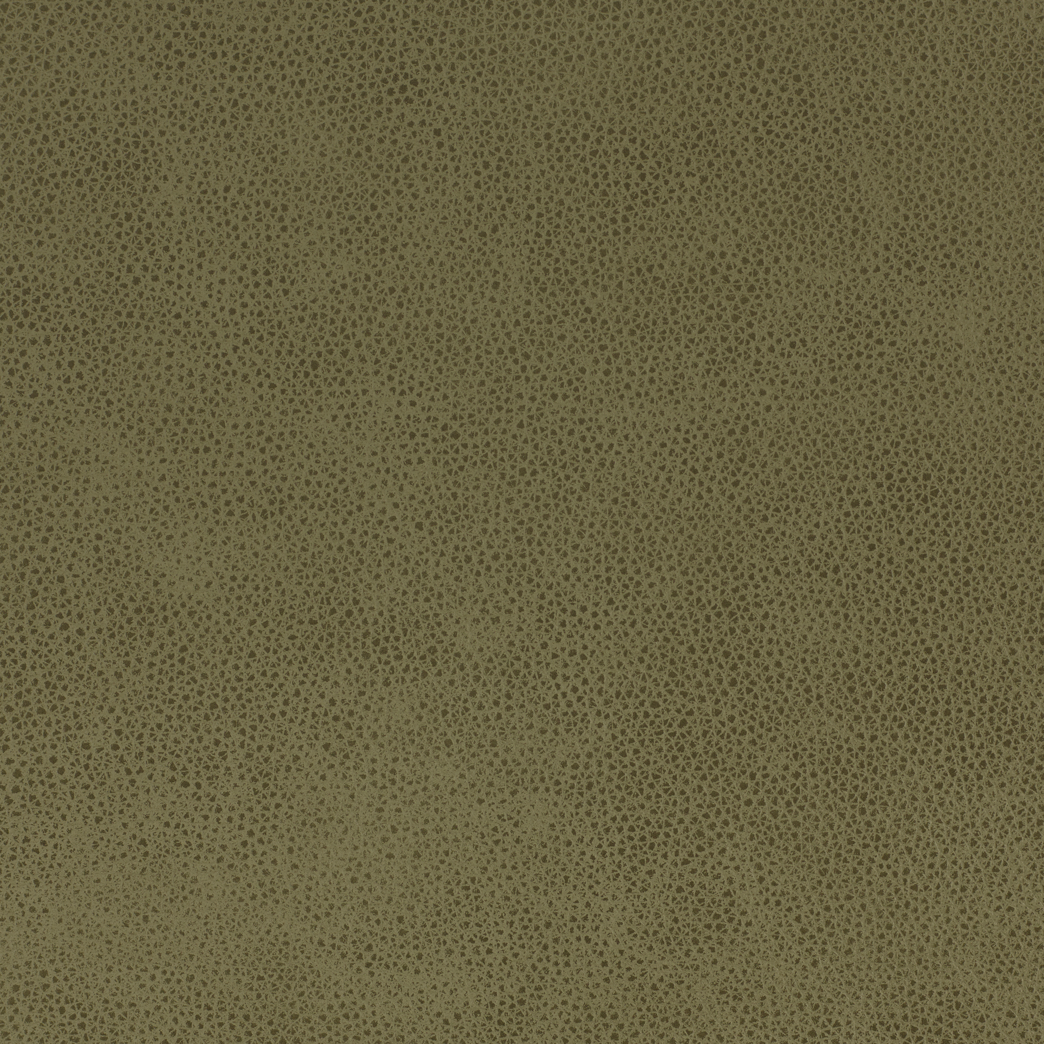 Altara Sage FL