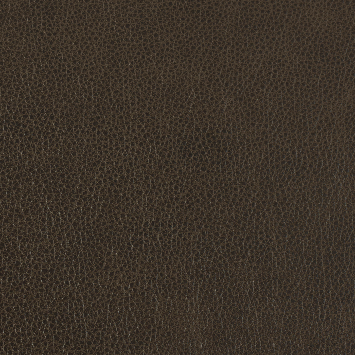 FL_Altara Chocolate copy