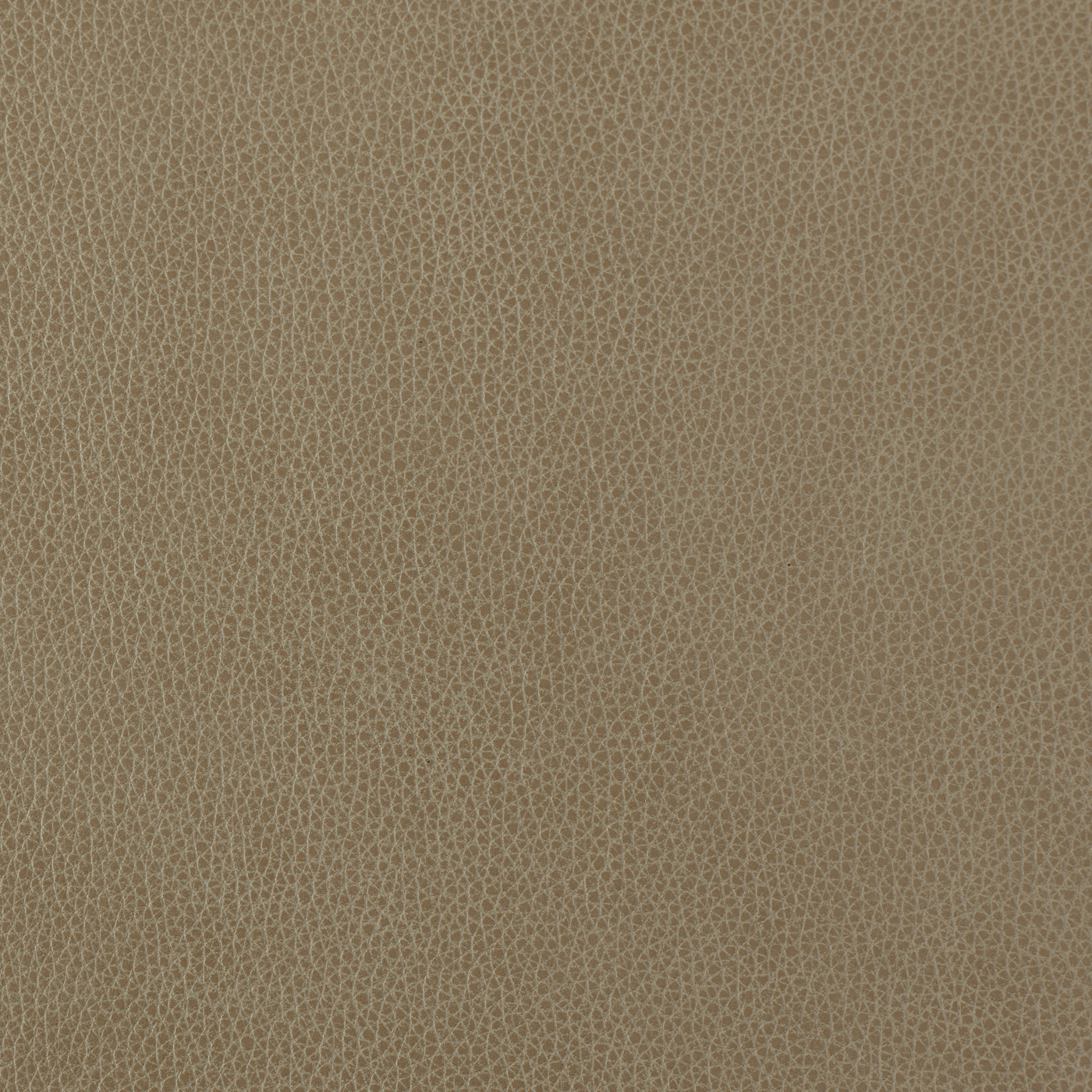 FL_Altara Desert copy
