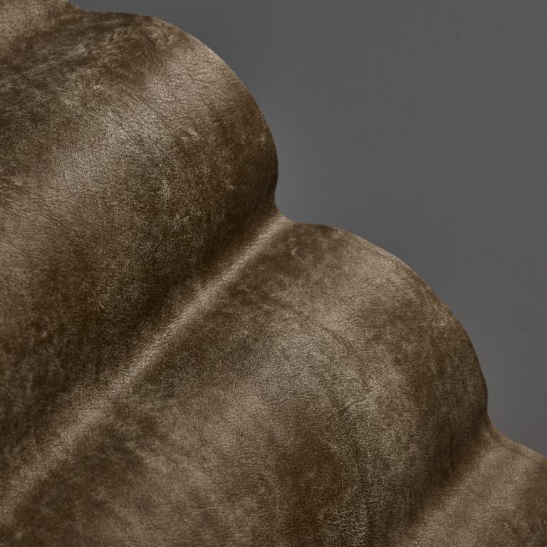 Intaba Ash - Crest Leather