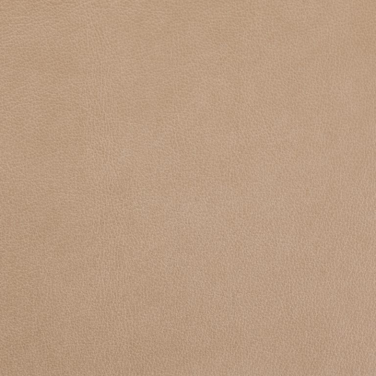 AustenLimestone Crest Leather