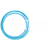 Distretto Veneto Della Pelle